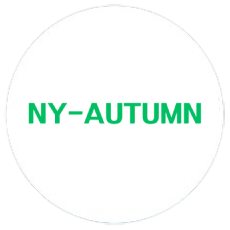 https://kasmma.com/wp-content/uploads/2024/03/NY-AUTUMN.png